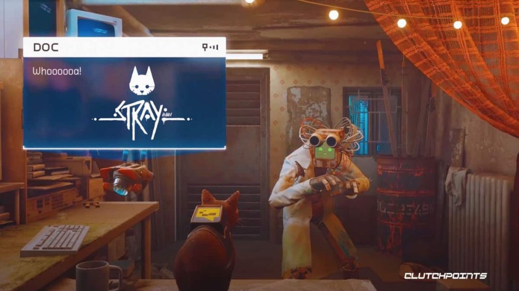 What Are the Most Beneficial Games on Jerk?