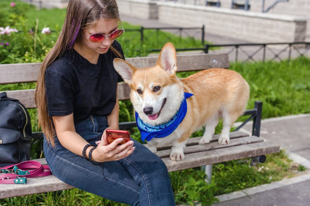 Want to Prank Your Puppy? Here are a Few Ideas